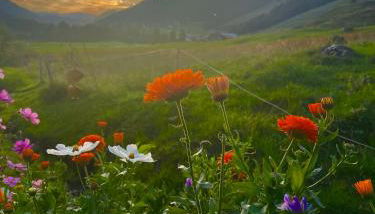 Gemütliche Ferienwohnung Bergwiese, 2-Raum, separates Schlafzimmer, schönen Balkon oder Terrasse, Komfort Ausstattung, ruhige Südlage, kostenfrei WLAN und schöne helle Sauna, Brötchenservice, Parkplatz, Hunde auf Anfrage, E-Tankstelle, Sonnenlage - Photo 4