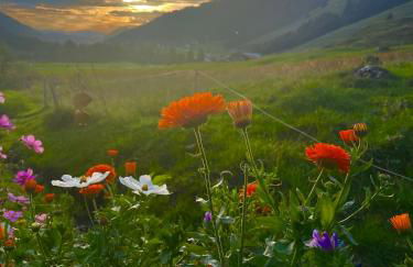 Gemütliche Ferienwohnung Bergwiese, 2-Raum, separates Schlafzimmer, schönen Balkon oder Terrasse, Komfort Ausstattung, ruhige Südlage, kostenfrei WLAN und schöne helle Sauna, Brötchenservice, Parkplatz, Hunde auf Anfrage, E-Tankstelle, Sonnenlage - Photo 4