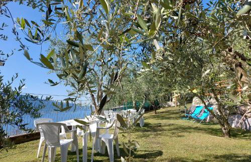 Ulivi sul Garda Garden by Gardadomusmea - Foto 74