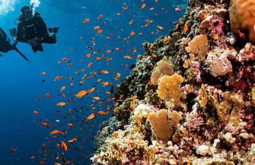 Aenaon Corfu Luxury Apartments #02 - Artemis Apartment - Photo 41