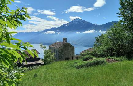 Lake in Nature - Foto 12