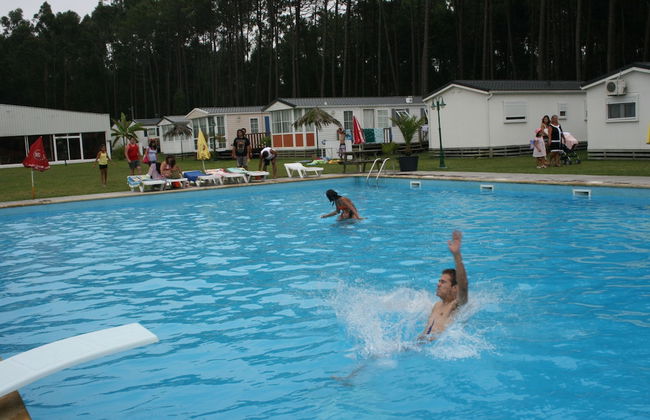 Landshause Bungalow T3 - Photo 9