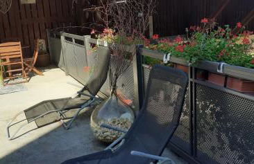 Les Hirondelles du MAMBOURG - Foto 49