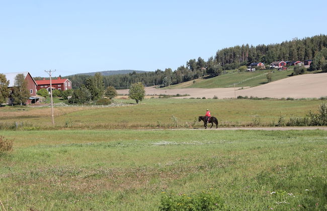 Happy Hudiksvall - Photo 59