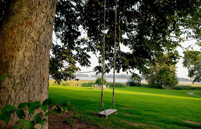 Gut Grubnow Rügen - Foto 50