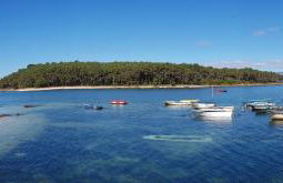 Fogar da Roda - Foto 20