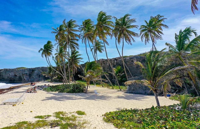 Ocean View by Bluescape - Foto 25