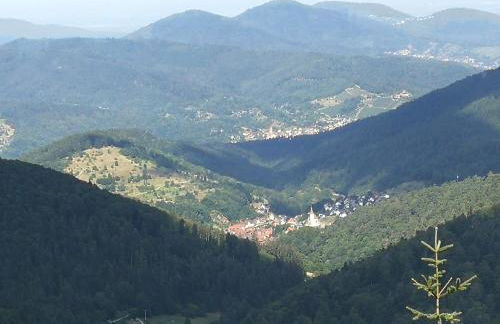 Ferienhaus Enzquelle - Foto 37