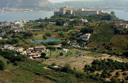 Tenuta calidarius - Foto 31