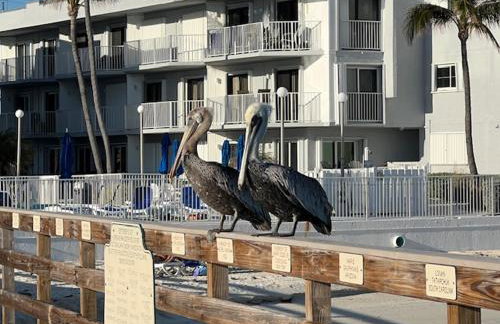 Casa Clara Condos - Foto 11