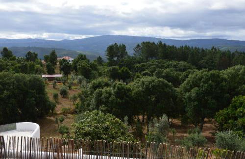 Ouzenda do Zêzere - Foto 53