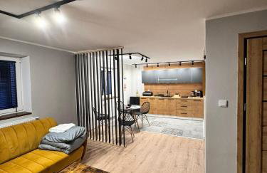 Apartamenty Stodoła - Foto 33