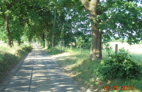 Landhaus Fischersruh Plauer See - Foto 8