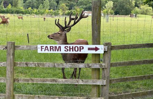 character filled barn renovation - Foto 17
