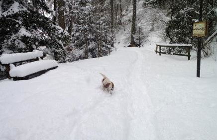 Appartamento Rosina, per 4/6 persone. In centro - Foto 21