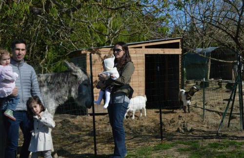 Roumanieu le gite - Photo 21