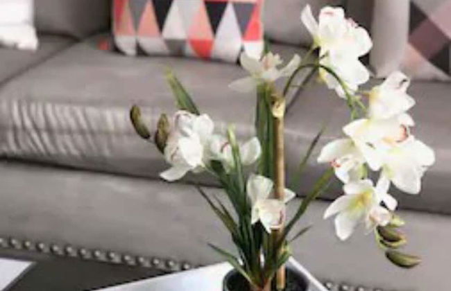 2 Bedroom Apartment near OU - Photo 15