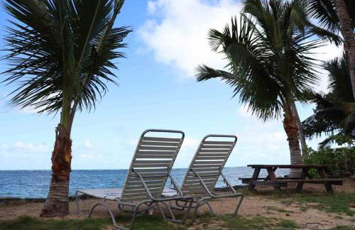 Punalu’u Ocean Paradise - Oceanfront Beach House - Foto 15