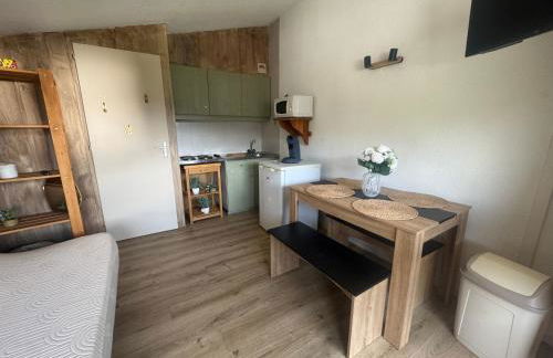 Appartement au pied des pistes - Photo 6