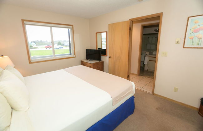 The Grey Gull - Foto 32