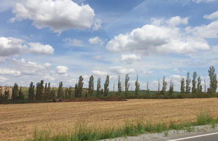 Ferienwohnung Sonnenschein Familie Hamdorf - Photo 19