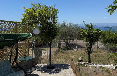 Panorama Studio - Foto 11