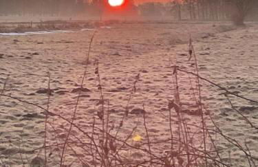 Gretes Hof - Foto 66