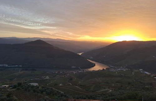 Pinhão House - Foto 48