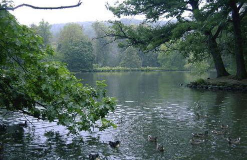 Ferienwohnung und Pension Gürtler - Photo 15