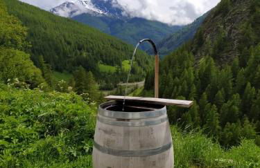 Les Hauts du Roux - Photo 15