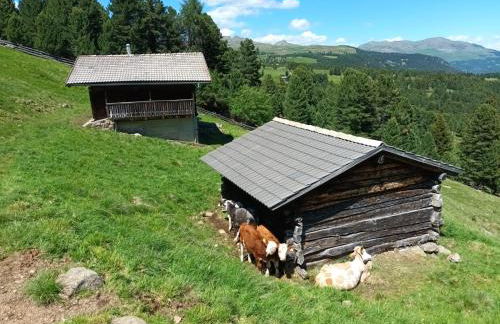 HAUSERHOF Farmhouse with Dolomite View - Foto 54