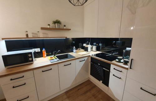 Apartament Number One NOVA WOZOWNIA - Foto 5