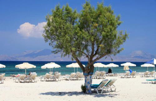 XeVa Studio - Foto 25