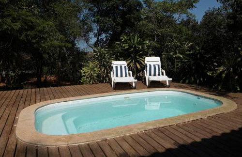 Canto dos pássaros - Foto 9