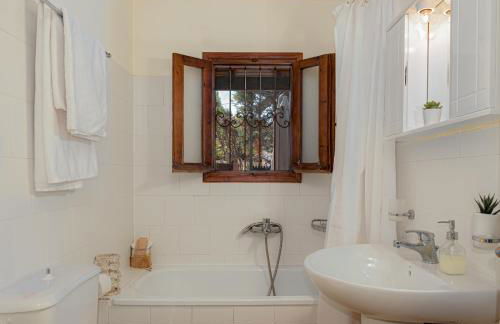 Villieta Marina - Foto 20