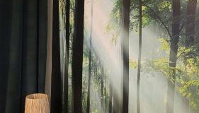 Apartament'' Leśny przy parku'' - Foto 4