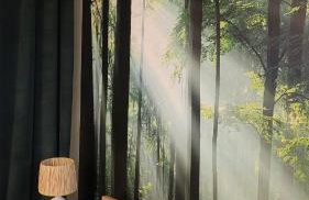 Apartament'' Leśny przy parku'' - Foto 4