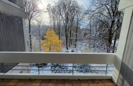 Ferienwohnung am Kurpark Ehlscheid - Foto 4