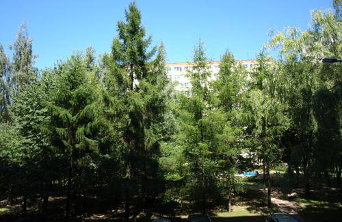 Apartament Familijny - Foto 31