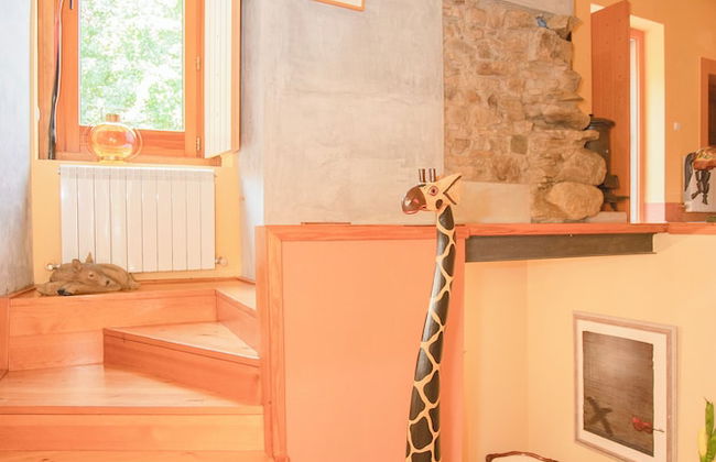 Local 9 - Casa do chapim azul - Foto 69