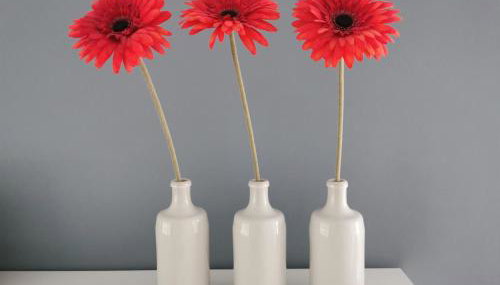 Fewo Küste und Wald - Foto 5