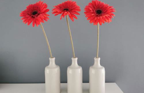 Fewo Küste und Wald - Foto 5