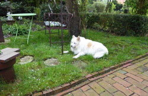 Großstrasse 18 A - Foto 2