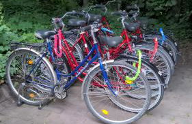 Ferienhaus im Grünen - Photo 40