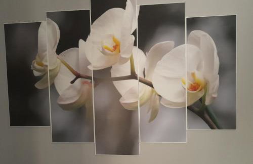 Esperion House - Foto 6