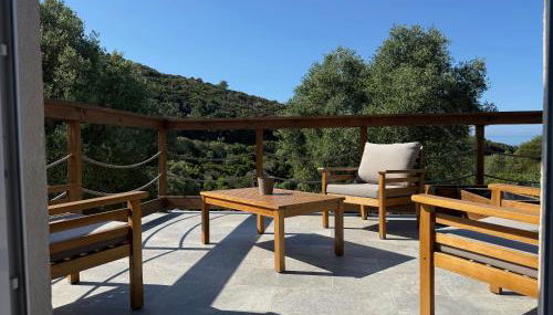 Les OULIVASTRES - Foto 3