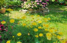 Apartments Villa San Vito - Foto 44