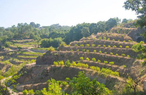 Solar Alegria - Foto 44