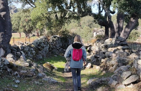 Vigias - Eternal Landscapes - Photo 20