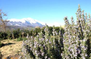 Agriturismo Cignale della Società Agricola Cignale srl - Photo 66
